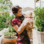 Jodie Wong's photo