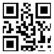 Marc Berger's photo
