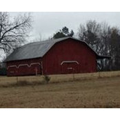Tammy Dulaney-Mullenax's photo