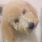 Sam Roberts's photo