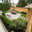Moniz Landscape LLC
