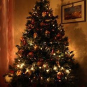 Thomas Temo's photo