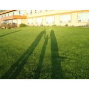 Janette Williams's photo