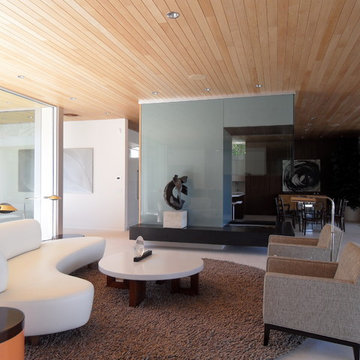 Desert Modern
