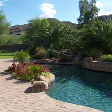 Swimming Pools and Yard