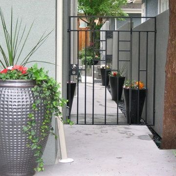Pedestrian Gates