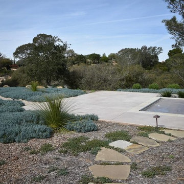 Jerusalem Stone Custom Concrete Stained Pool Deck