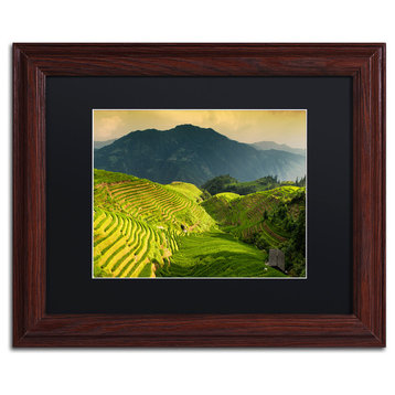 Philippe Hugonnard 'Sunset Rice I' Art, Wood Frame, Black Matte, 14"x11"
