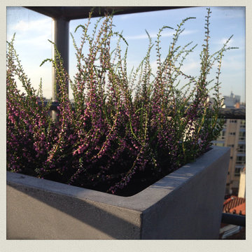 Terrasse 16m2 - Bruxelles - Mer du Nord