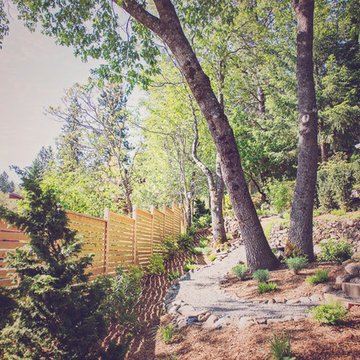 Shaded Backyard Landscape