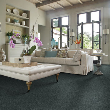 Carpet, Tile and Flooring