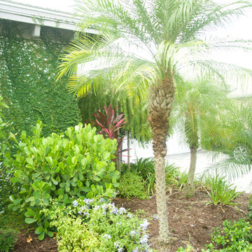 Tropical Landscape Full & Unique