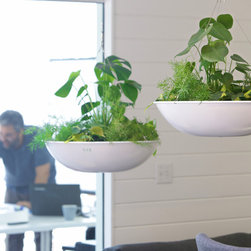 Our Hover Dish Planters... - Indoor Pots And Planters