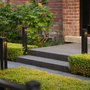 Contemporary Garden