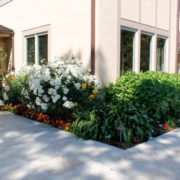 Mixed Plantings