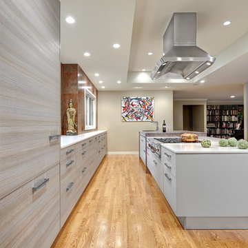 Fat Feng Shui Kitchen - American River