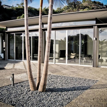 Rex Lottery House