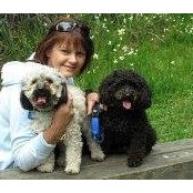 Joanne Law's photo