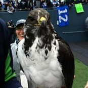 Julie Martin's photo
