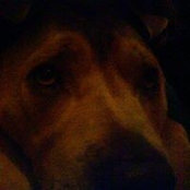 Foto di Colby Comrie