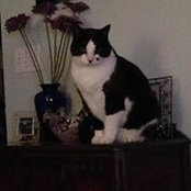 Karen Spall's photo