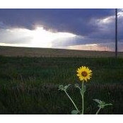 Anna Gulhaugen's photo