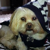 Rose Cavalieri's photo