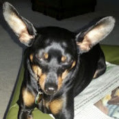 Jen Saunders's photo