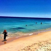 Kate Hewes's photo