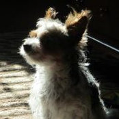Laurie Healey's photo