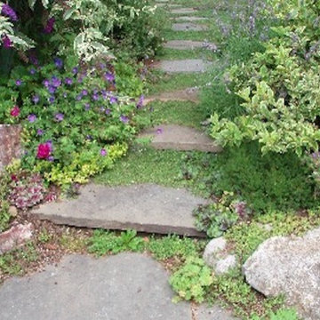 Woodland Garden