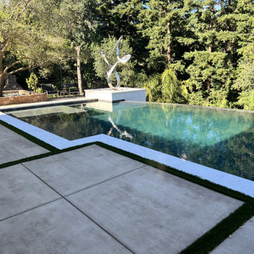 Carmichael Major Remodel
