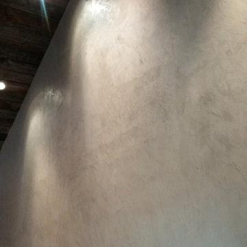 Venetian Plaster Calgary-Artesia Community