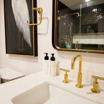 Journal Leaf Place- Guest Bathrooms Remodel