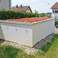 dachbegrünung