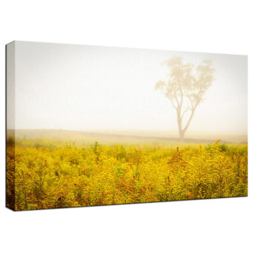 Dreams of Goldenrod and Fog Rural Canvas Wall Art Print, 16" X 20"