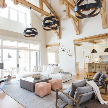 Rustic Contemporary Living Room