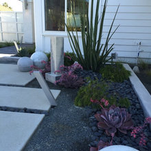 Shaded Yard