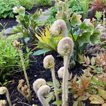 Watermill, NY - Summertime Gardens