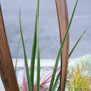 Container Plantings