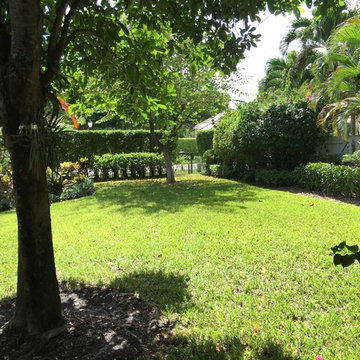 Palm Beach - Players Court