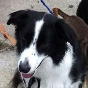 Foto von Peggie Wormington