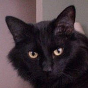 Jo Ann Sheehy's photo