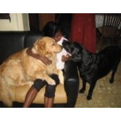 Ila Srinath's photo