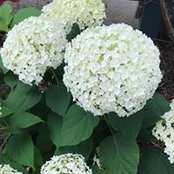 Peggy Rader's photo