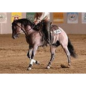 Weaver Livestock's photo