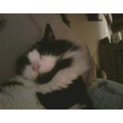Maureen Mueller's photo