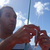 Philippe Laouchez's photo