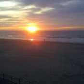 Dina Kaliko's photo