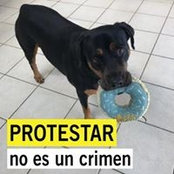 Photo de Aida Ayala